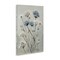 Stupell Industries Muted Blue & White Dandelions Canvas By PATRICIA PINTO